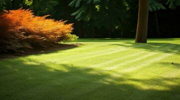 ai genererad en scen av naturlig gräs med solljus på den foto