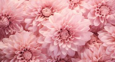 ai genererad en mycket stor knippa av rosa blommor foto