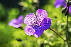 ai genererad geranium wilfordii blomma. ai genererad foto