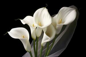 ai genererad vit bröllop natur lilja skönhet blomma växt blomma flora calla. ai genererad foto