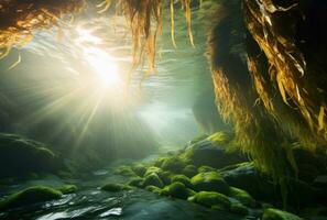 ai genererad kelp och alger under vattnet i de solljus, foto