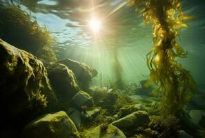 ai genererad kelp och alger under vattnet i de solljus, foto