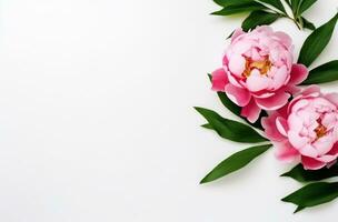ai genererad rosa pion blommor på vit med grön löv minimalistisk bakgrunder foto
