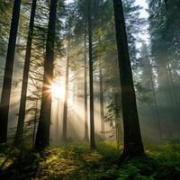 ai genererad en lugn skog med lång träd, brokig solljus, och en dimmig morgon- dimma foto