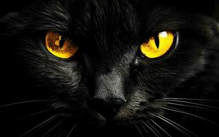 ai genererad de munkorg av en svart katt med gul ögon. de ansikte av en katt. foto