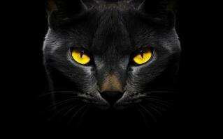 ai genererad de munkorg av en svart katt med gul ögon. de ansikte av en katt. foto