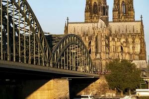 cologne katedral och hohenzollern bro upplyst förbi de morgon- Sol foto