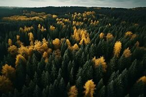 ai genererad antenn. höst skog se från ovan. höst natur landskap. foto