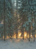 ai genererad fångande naturens skönhet fantastisk landskap fotografi Galleri, generativ ai foto