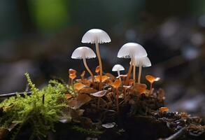 ai genererad hemimycena arter mairei. ai genererad. foto