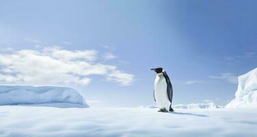 ai genererad pingvin stående i antarctica ser in i de blå himmel. ai genererad foto