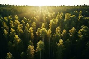 ai genererad antenn topp se lantlig väg i de skog, smuts väg eller lera väg och regn skog, antenn se väg i natur, ekosystem och friska miljö foto