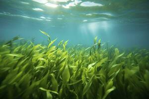 ai genererad under vattnet se av en grupp av havsbotten med grön sjögräs. ai genererad foto