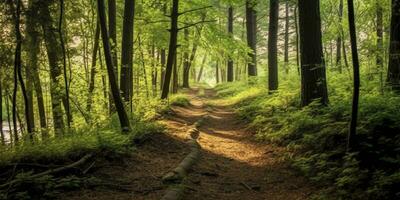 ai genererad en väg med skön skog. ai genererad foto