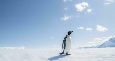 ai genererad pingvin stående i antarctica ser in i de blå himmel. ai genererad foto