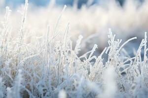 ai genererad skön bakgrund bild av rimfrost i natur stänga upp. foto