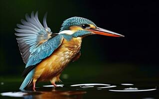 ai genererad de allmänning kungsfiskare våtmarker fågel färgad fjädrar från annorlunda fåglar. generativ ai foto