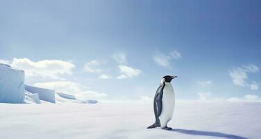 ai genererad pingvin stående i antarctica ser in i de blå himmel. ai genererad foto