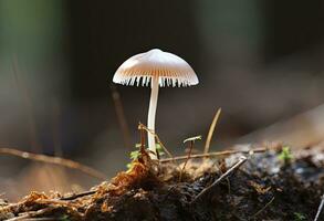 ai genererad hemimycena arter mairei. ai genererad. foto