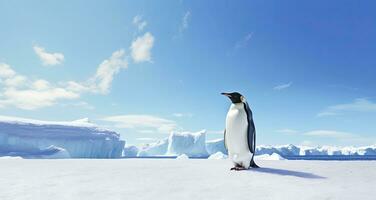 ai genererad pingvin stående i antarctica ser in i de blå himmel. ai genererad foto