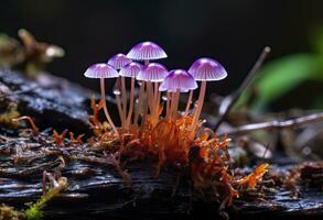 ai genererad hemimycena arter mairei. ai genererad. foto