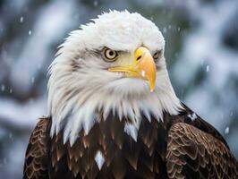 ai genererad amerikan skallig Örn i de natur bakgrund foto