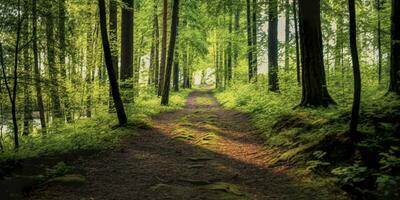 ai genererad en väg med skön skog. ai genererad foto