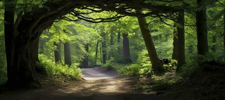 ai genererad naturlig archway formad förbi grenar i de skog. ai genererad foto