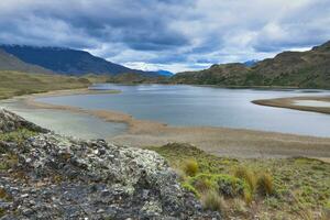 laguna med kärr gräs, patagonien nationell parkera, chacabuco dal nära cochrane, aysen område, patagonien, chile foto