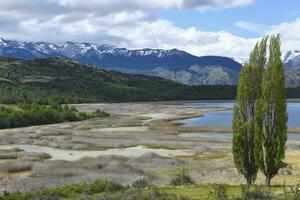 poppel träd i främre av de anderna, patagonien nationell parkera, chacabuco dal nära cochrane, aysen område, patagonien, chile foto