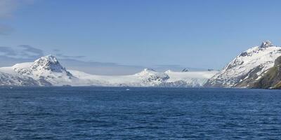 kung haakon bukt, snö täckt bergen och glaciärer, söder georgien, söder georgien och de smörgås öar, antarctica foto