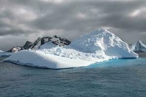 tunnbindare bukt, flytande isberg, söder georgien, söder georgien och de smörgås öar, antarctica foto