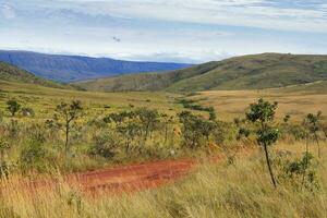 serra da canastra landskap och vegetation, minas gerais, Brasilien foto