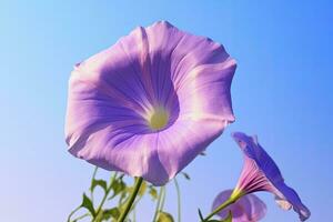 ai genererad morgon- ära blomma med blå himmel. ai genererad. foto