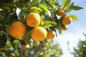 ai genererad orange frukt på träd. ai genererad foto