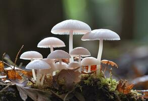 ai genererad hemimycena arter mairei. ai genererad. foto