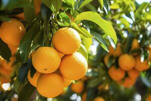 ai genererad orange frukt på träd. ai genererad foto