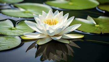 ai genererad vit vatten lilja. vit lotus med löv på mörk damm. ai genererad foto