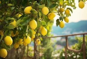 ai genererad citroner växande i en solig trädgård på amalfi kust i Italien. ai genererad foto