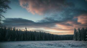 ai genererad skildra de övergång från dag till natt i en vinter- skog, fångande de skiftande nyanser av de himmel och de framväxt av stjärnljus. foto