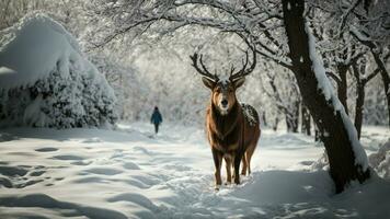 ai genererad krönika de resa av en enslig djur- navigerande de labyrint av snöladdade grenar i Sök av uppehälle. foto