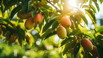 ai genererad färsk mango på de fält med ljus exponering ai generativ foto