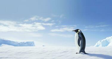 ai genererad pingvin stående i antarctica ser in i de blå himmel. ai genererad foto