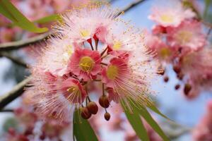 ai genererad skön gummi träd rosa blommor och knoppar. ai genererad foto