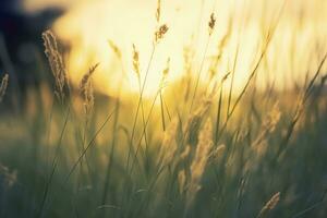 ai genererad vild gräs i de skog på solnedgång. abstrakt sommar natur bakgrund. generativ ai foto