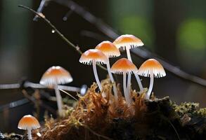 ai genererad hemimycena arter mairei. ai genererad. foto