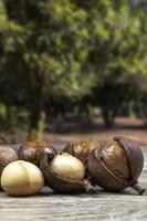 grupp macadamianötter på ett träbord med en fruktträdgård i bakgrunden, Brasilien