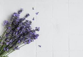 färska blommor av lavendelbukett foto