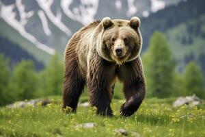 ai genererad brun Björn rör på sig på de grön äng i springtime natur. ai genererad foto