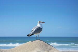 ai genererad fiskmås på de strand under blå himmel. foto